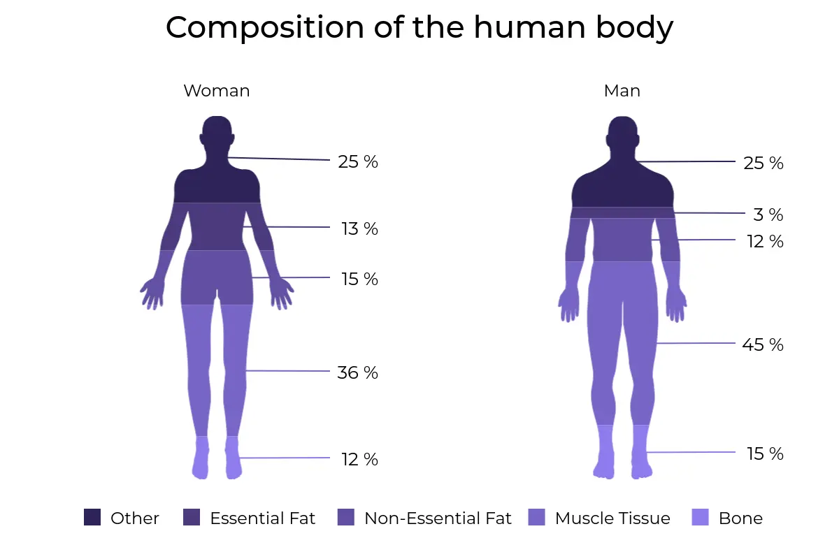 Pictorial chart comparing human body composition in women and men, showing percentages of bone, muscle tissue, non-essential fat, essential fat, and other body mass distributed across silhouettes.