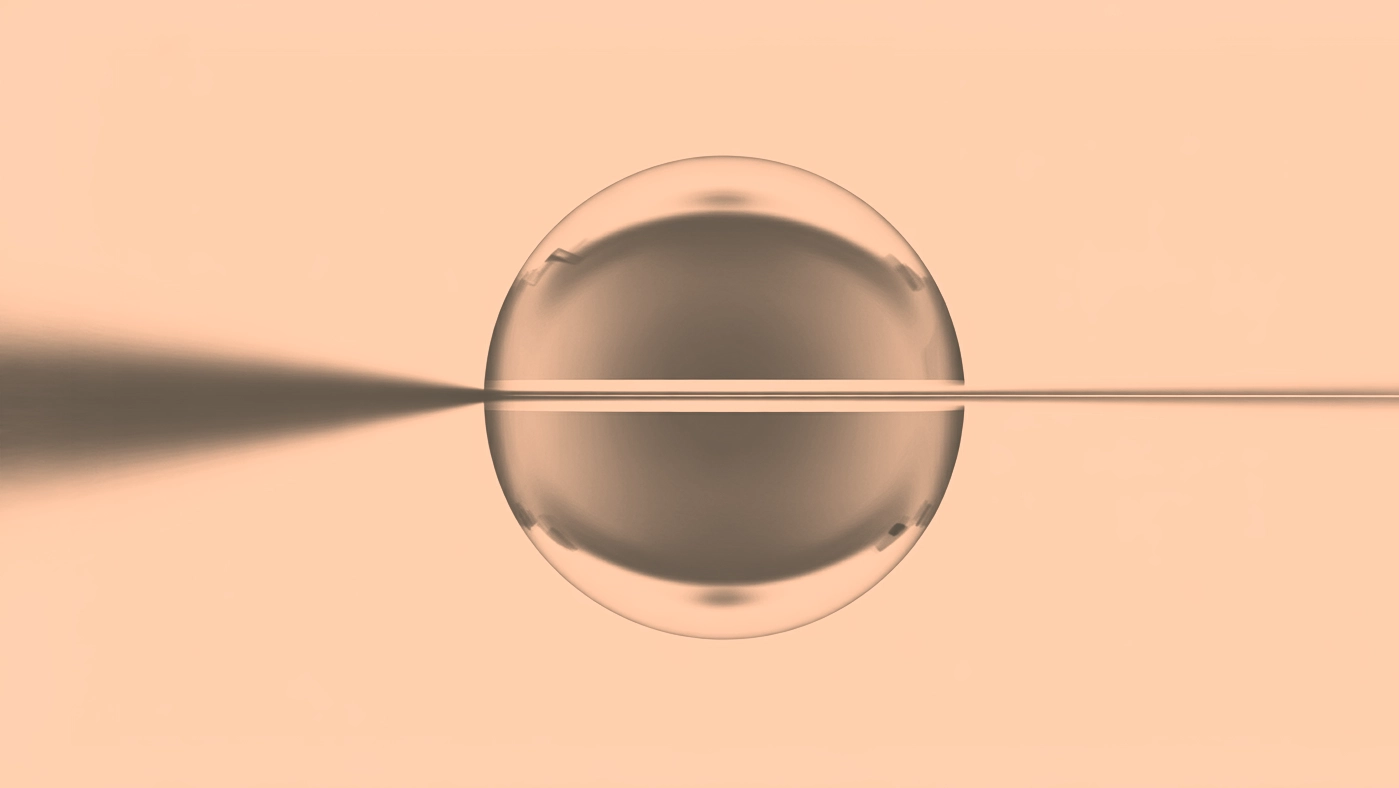 Abstract 3D metallic sphere art serving as a creative visual element for a modern portfolio dashboard design.